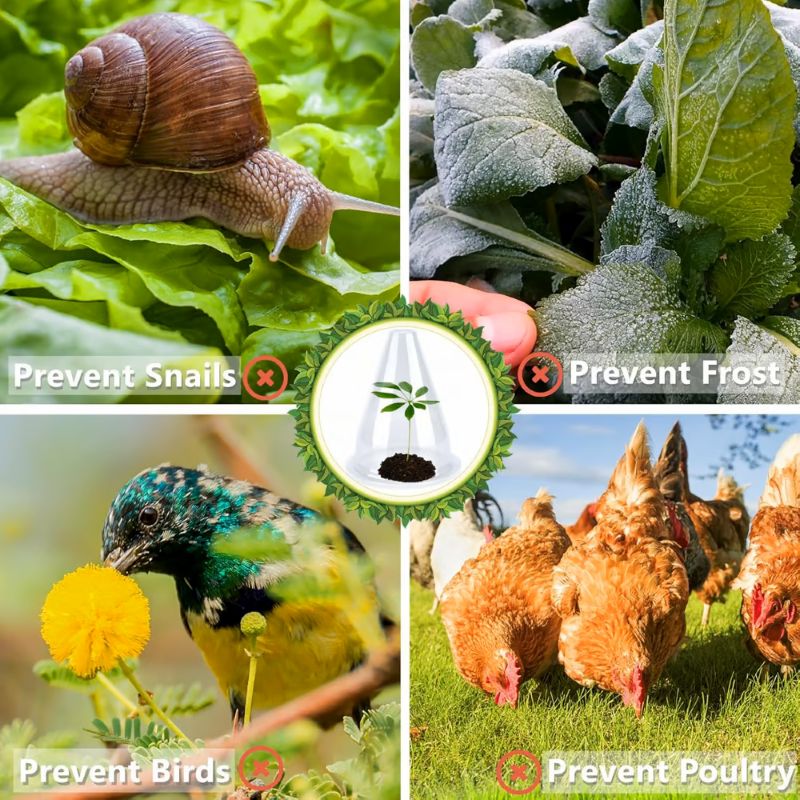 🌿Gardening Greenhouse Plant Covers🌱Reusable, Light-transmitting And Breathable💪Prevent🐛Insect🐓Poultry❄Frost🌧Rain🌪Wind