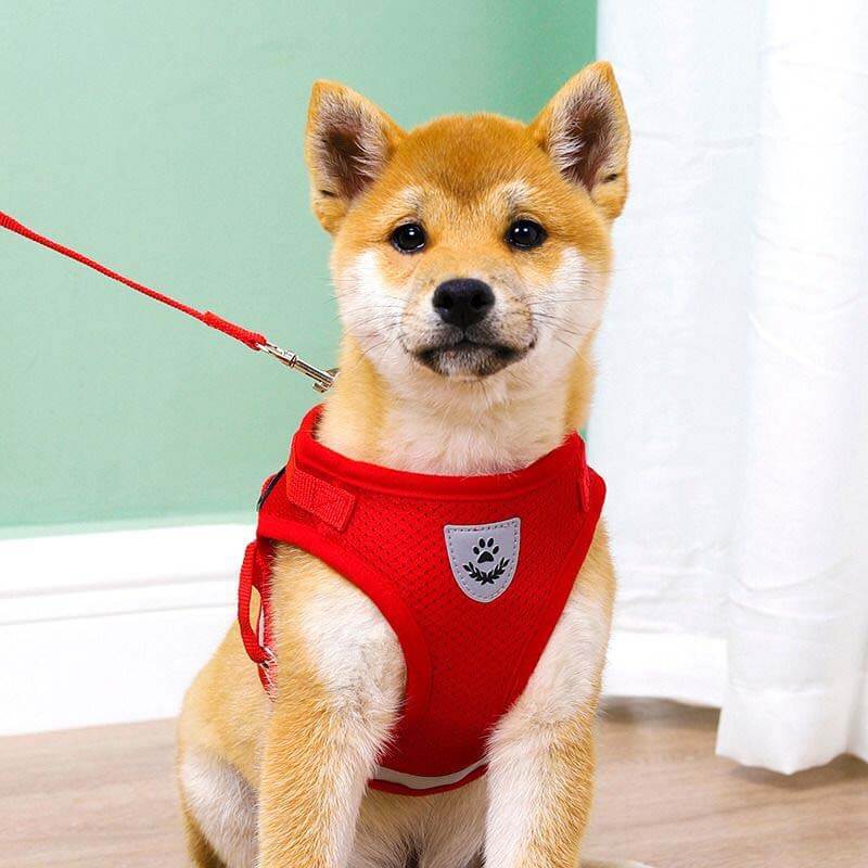 Reflective Safty Harness and Leash Set