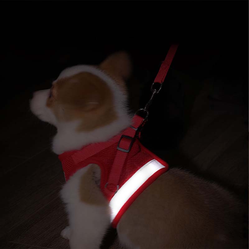 Reflective Safty Harness and Leash Set