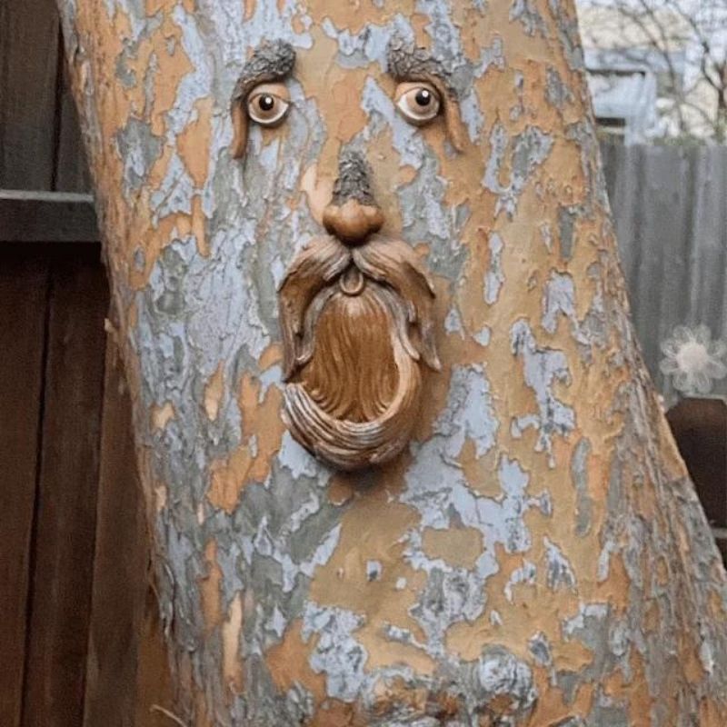 Unique Bird Feeders for Outdoors Old Man Tree Art