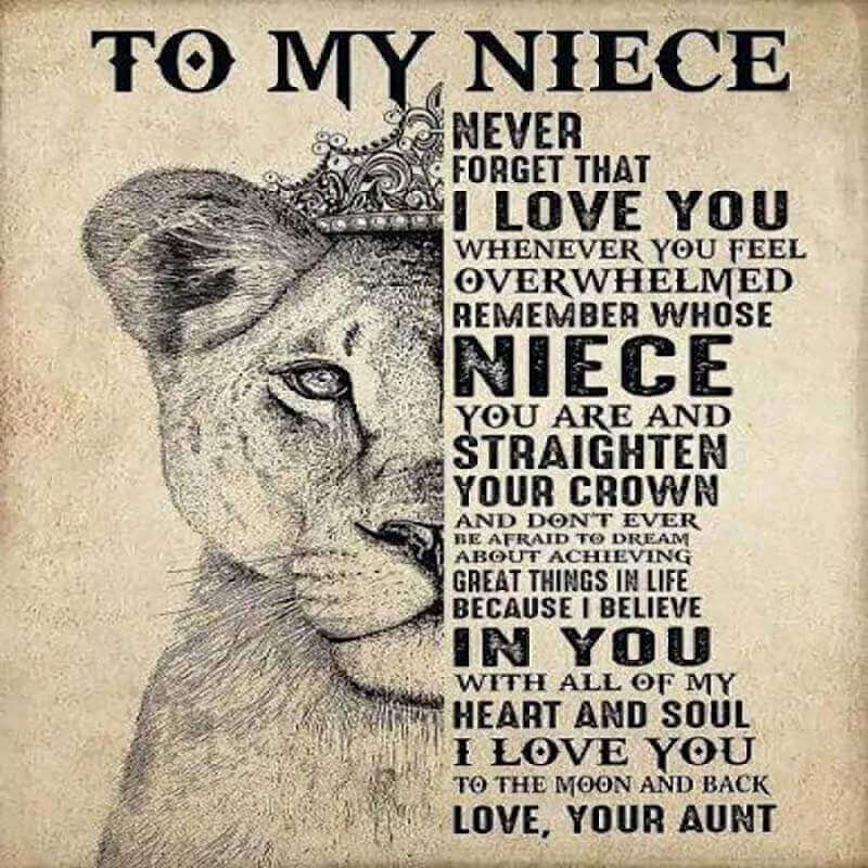 To My Niece - From Aunt - A615 - Premium Blanket