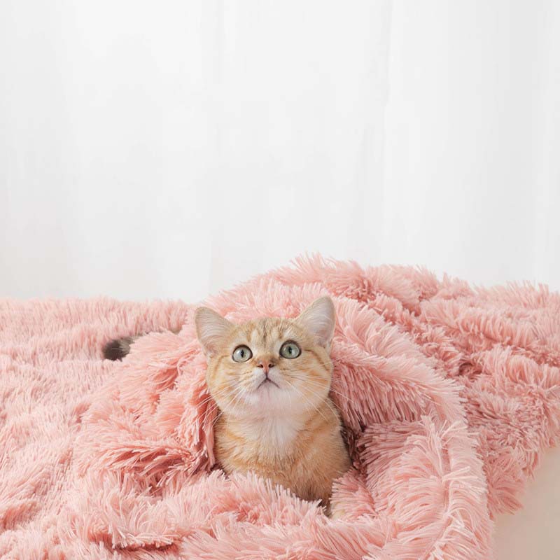 Comfy Calming Pet Blanket