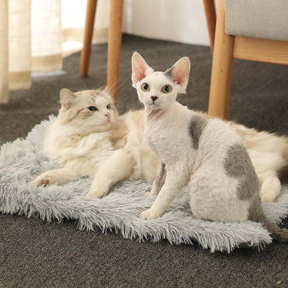Comfy Calming Pet Blanket