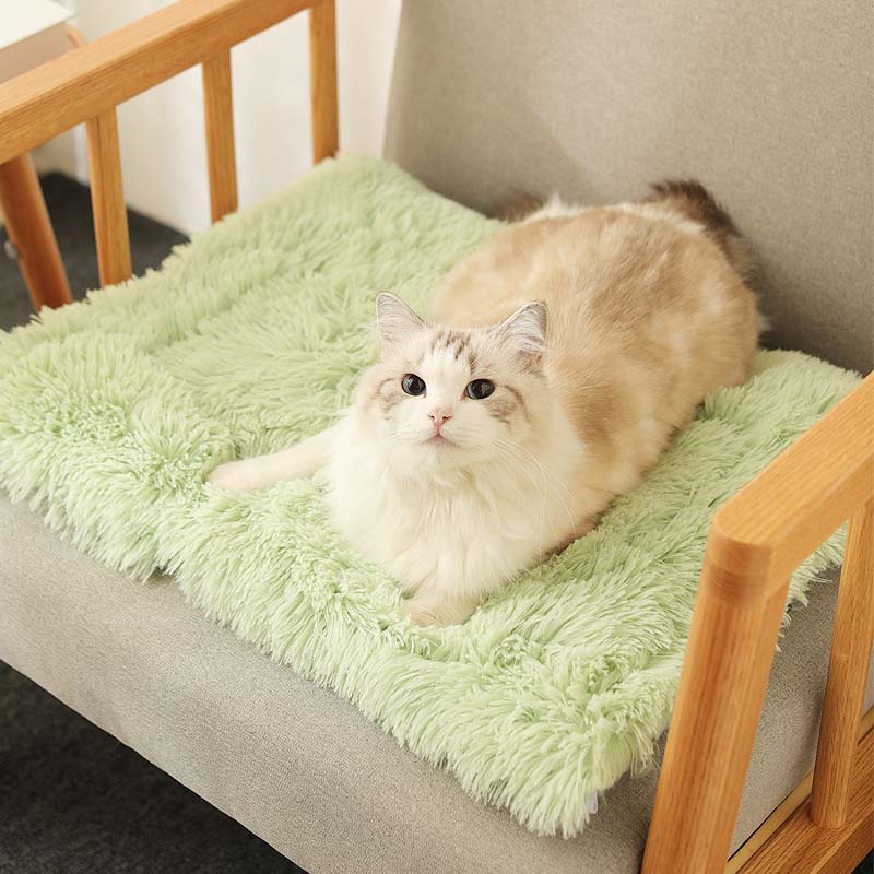 Comfy Calming Pet Blanket