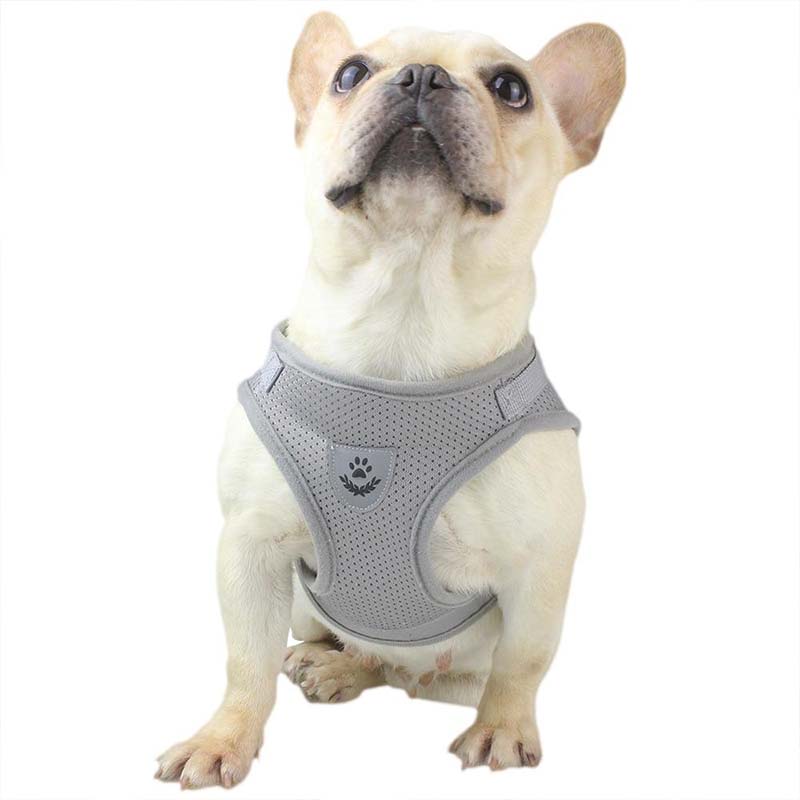Reflective Safty Harness and Leash Set