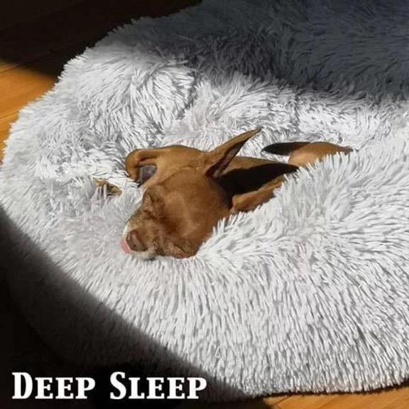 Large Dog Calming Bed