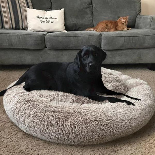 Large Dog Calming Bed